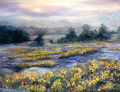 Confederate daisies on stone mountain by Barbara Griffin Robinson